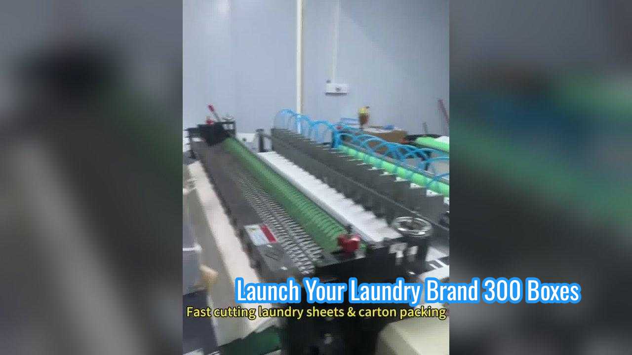 Good price Plant Based Biodegradable Laundry Detergent Sheets with No Chemical Buildup online