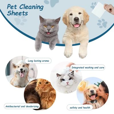 Harga bagus Lembar pembersih hewan peliharaan tebal sekali pakai Lembar cuci tubuh anjing untuk ruangan on line